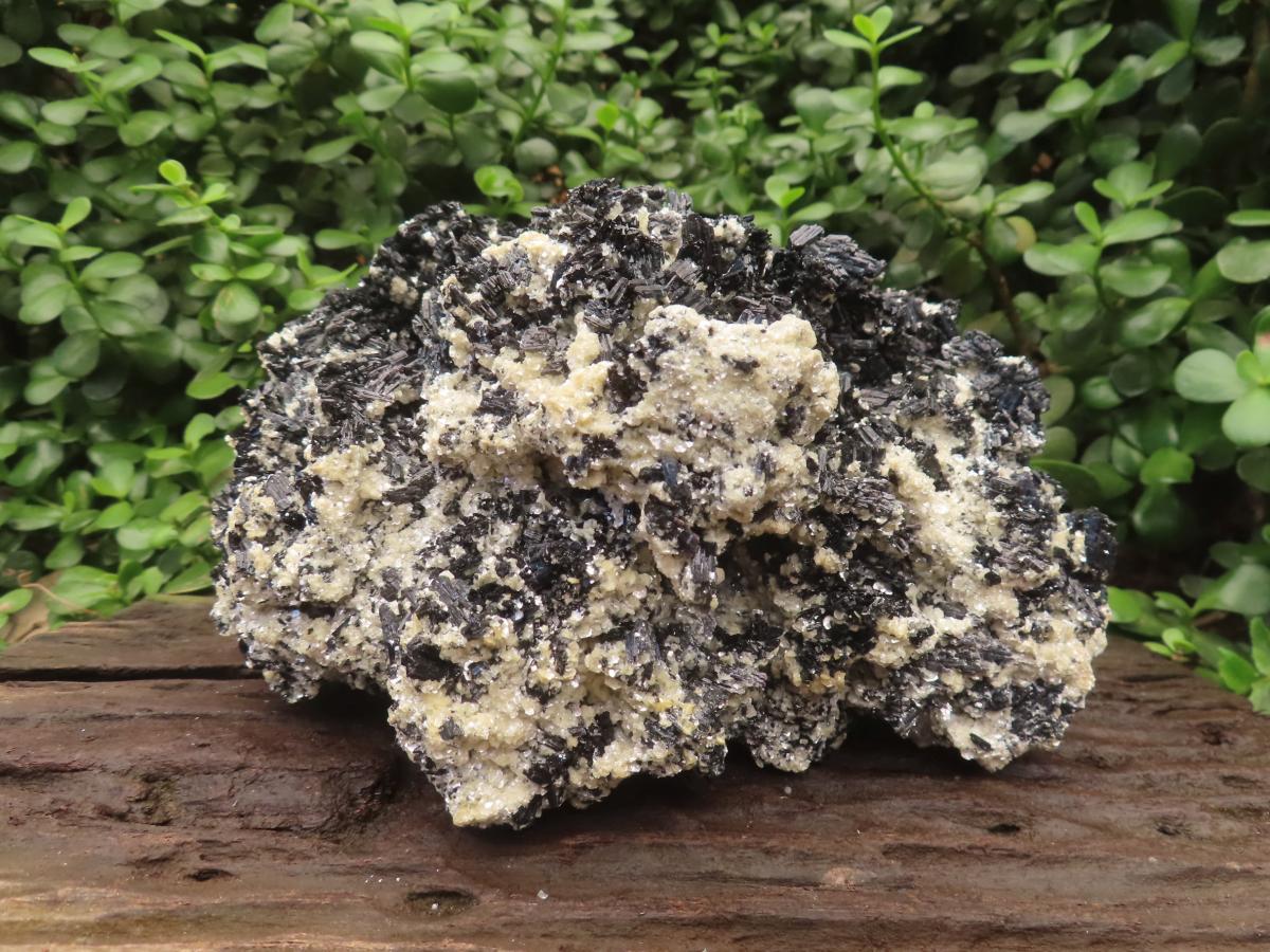 Natural XL Schorl Black Tourmaline Specimen x 1 From Erongo, Namibia