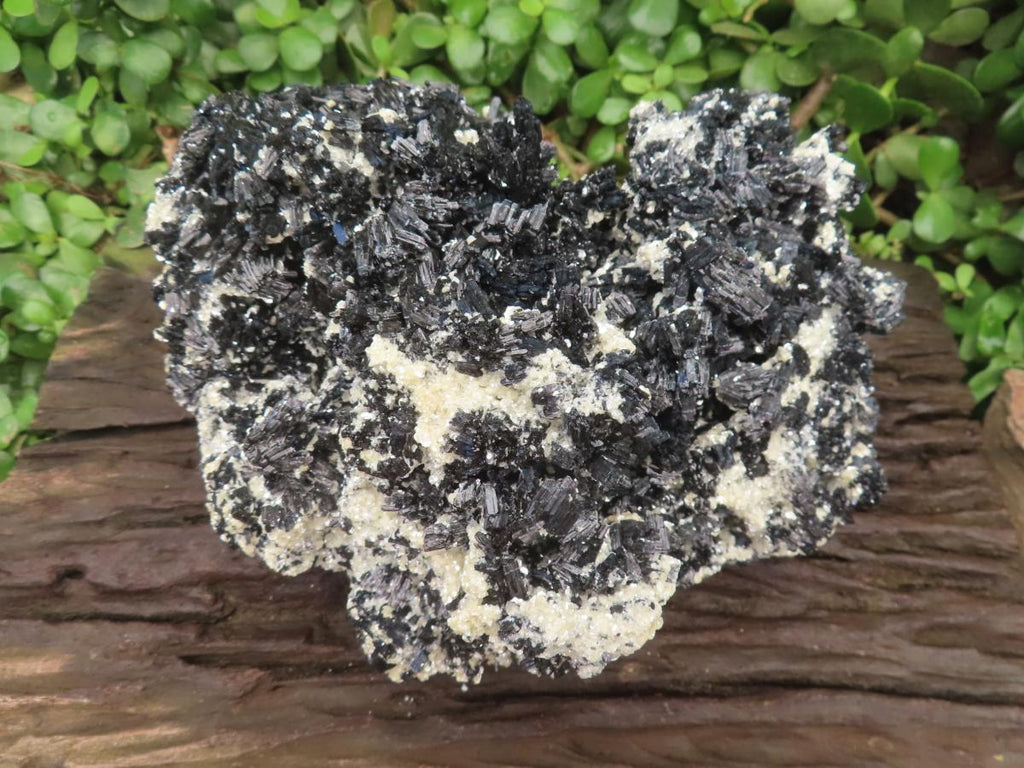 Natural XL Schorl Black Tourmaline Specimen x 1 From Erongo, Namibia