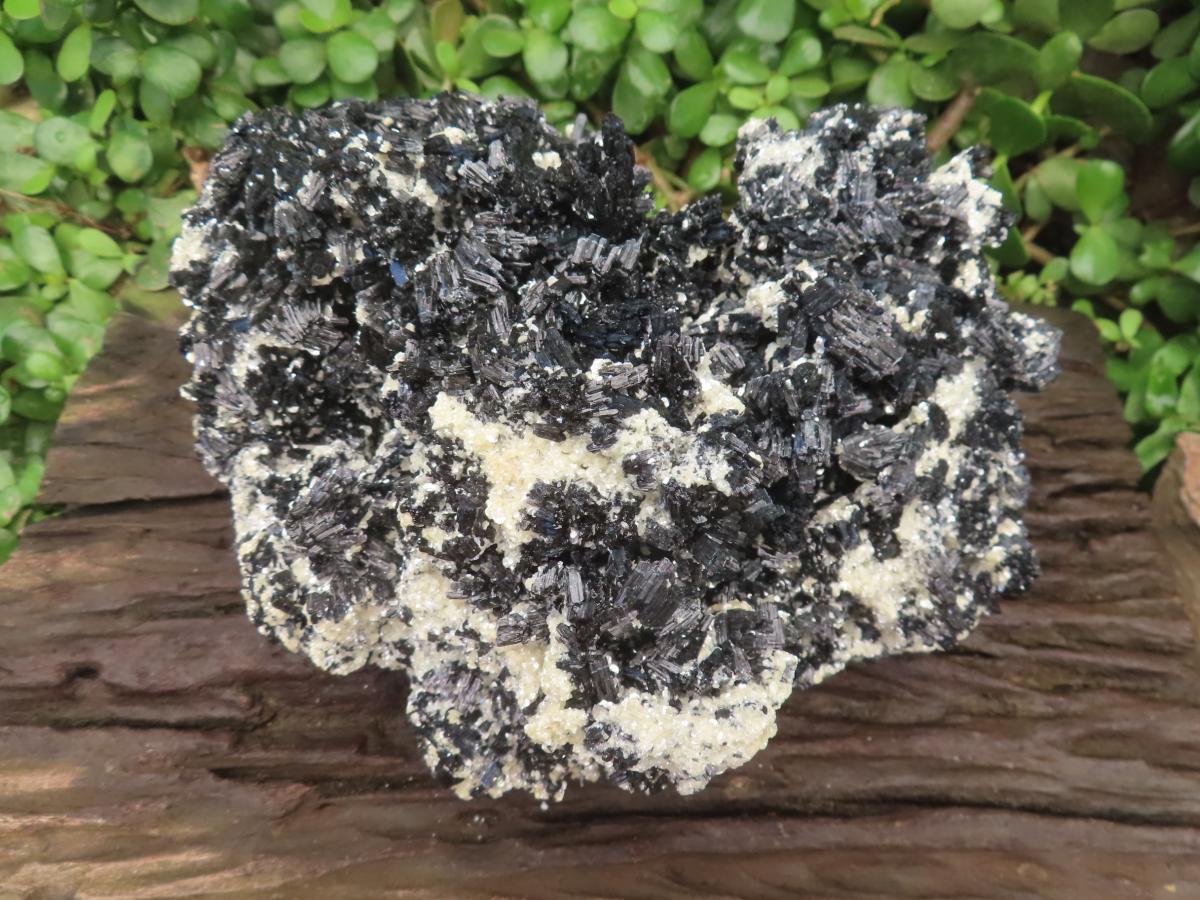 Natural XL Schorl Black Tourmaline Specimen x 1 From Erongo, Namibia