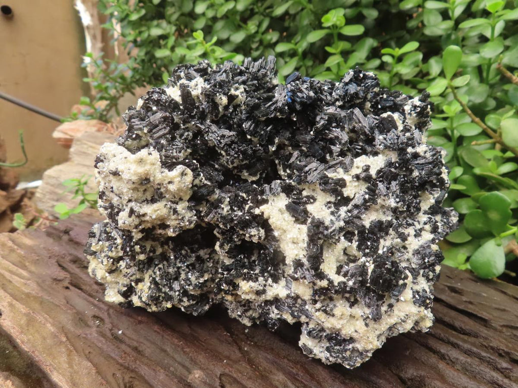 Natural XL Schorl Black Tourmaline Specimen x 1 From Erongo, Namibia