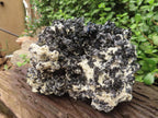 Natural XL Schorl Black Tourmaline Specimen x 1 From Erongo, Namibia