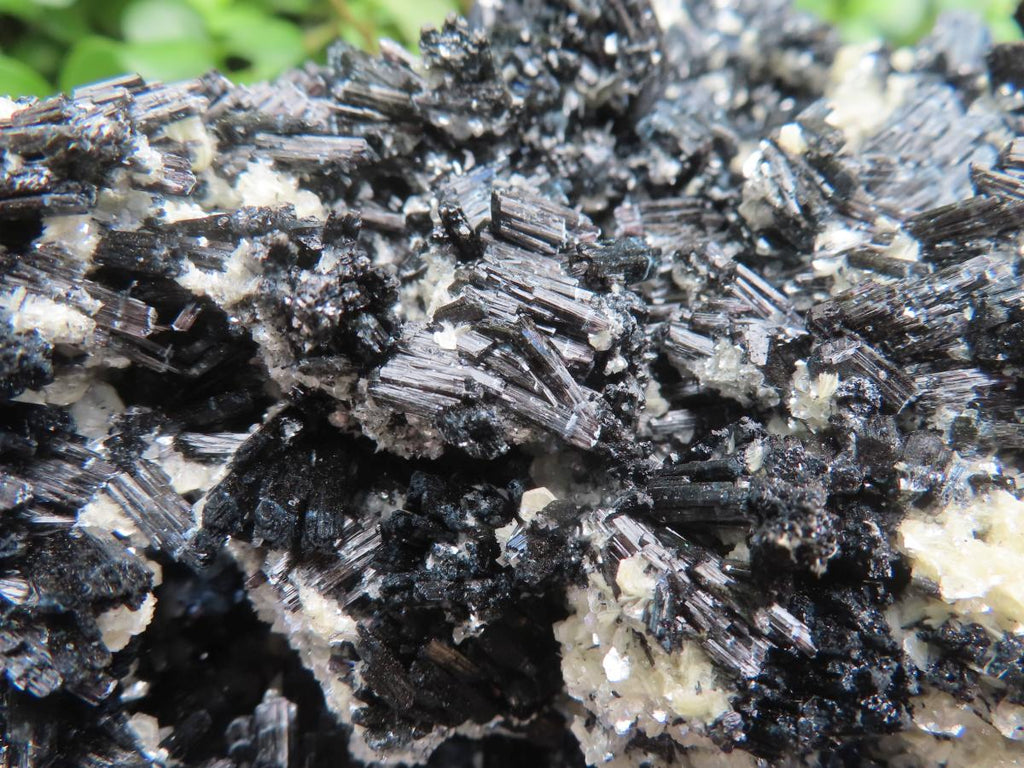 Natural XL Schorl Black Tourmaline Specimen x 1 From Erongo, Namibia