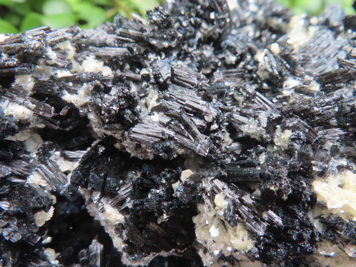 Natural XL Schorl Black Tourmaline Specimen x 1 From Erongo, Namibia