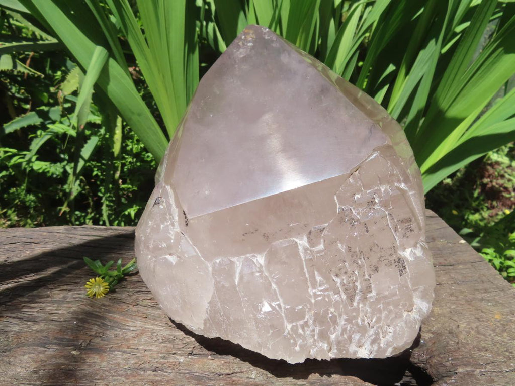 Polished Large Smokey Quartz Floater Crystal x 1 From Mulanje, Malawi