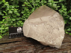 Polished Large Smokey Quartz Floater Crystal x 1 From Mulanje, Malawi