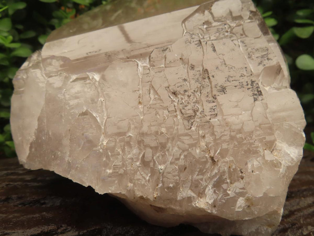 Polished Large Smokey Quartz Floater Crystal x 1 From Mulanje, Malawi