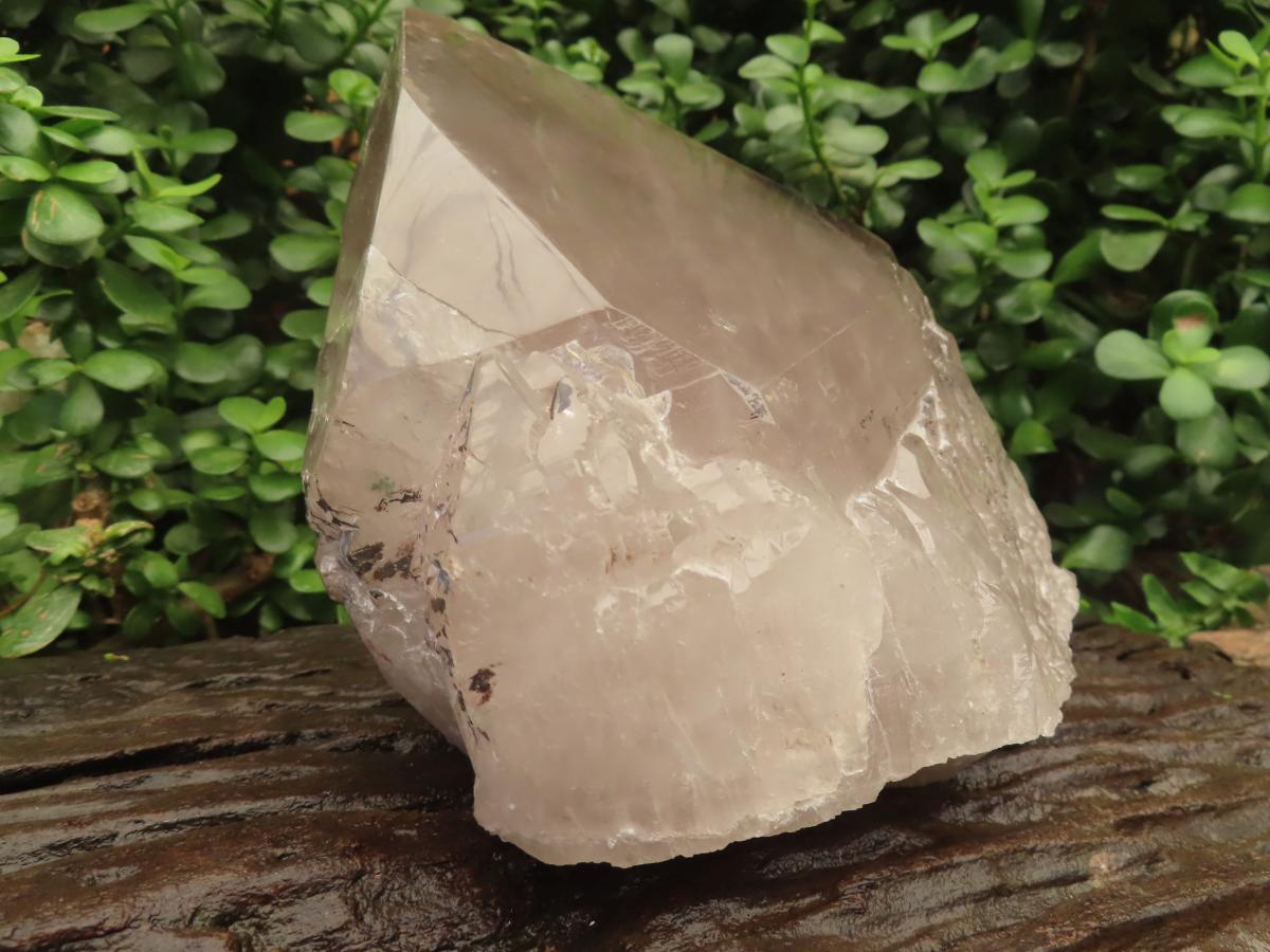 Polished Large Smokey Quartz Floater Crystal x 1 From Mulanje, Malawi