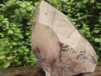 Polished Large Smokey Quartz Floater Crystal x 1 From Mulanje, Malawi