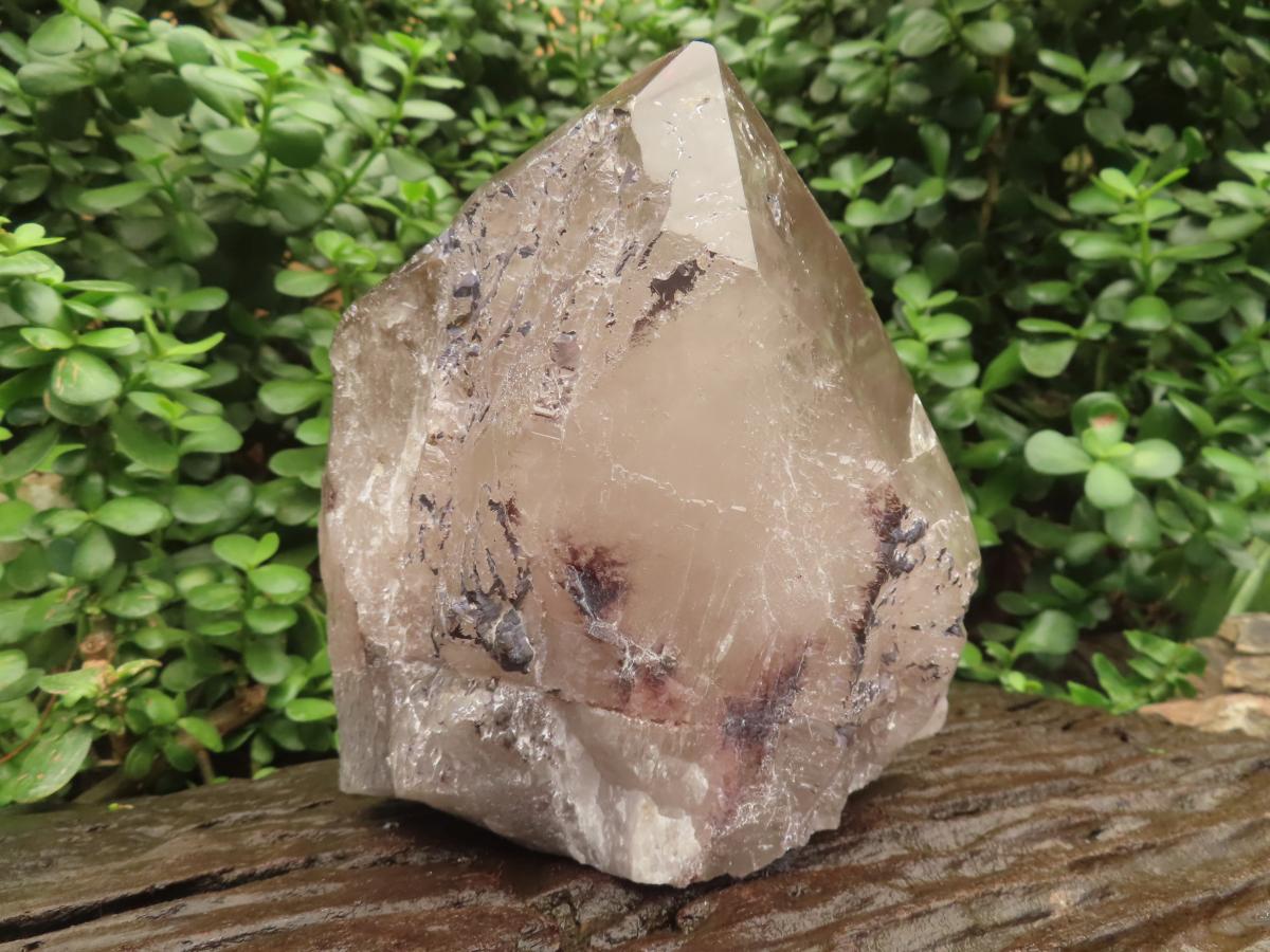 Polished Large Smokey Quartz Floater Crystal x 1 From Mulanje, Malawi