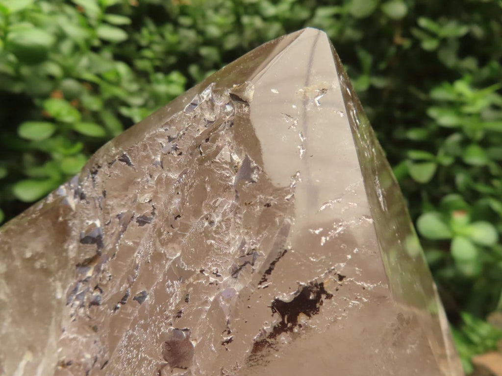 Polished Large Smokey Quartz Floater Crystal x 1 From Mulanje, Malawi