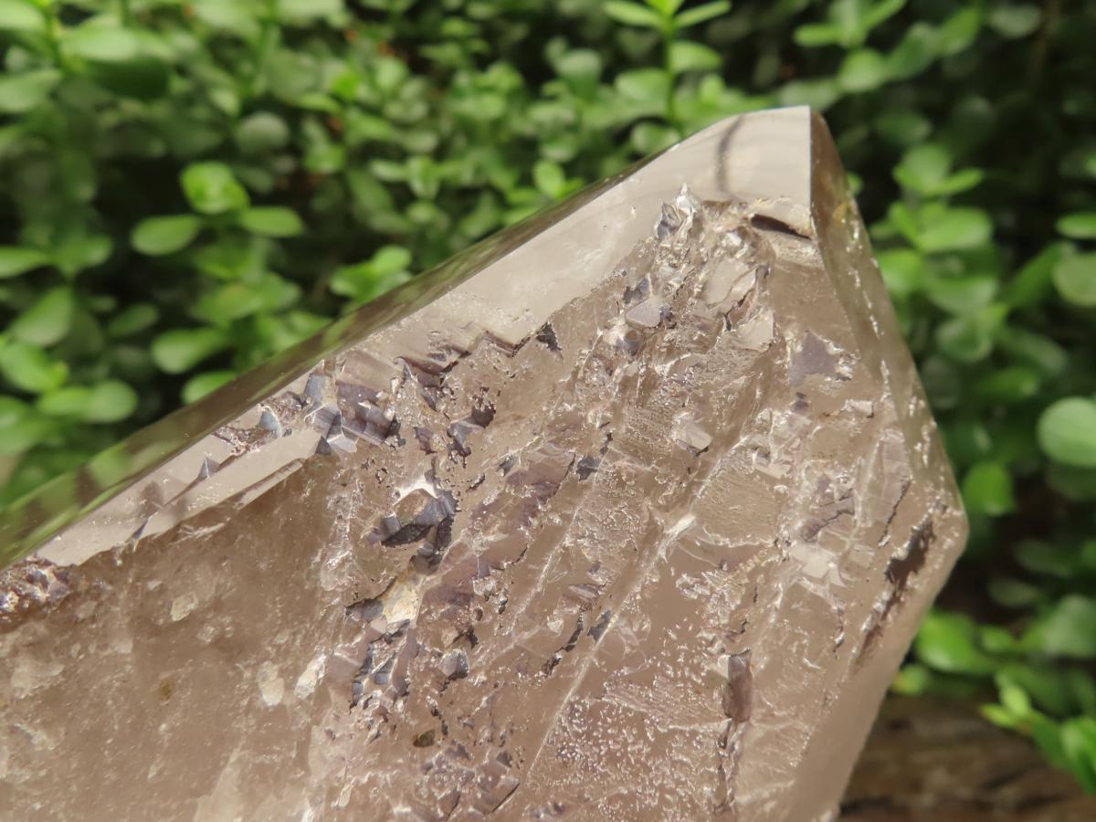 Polished Large Smokey Quartz Floater Crystal x 1 From Mulanje, Malawi