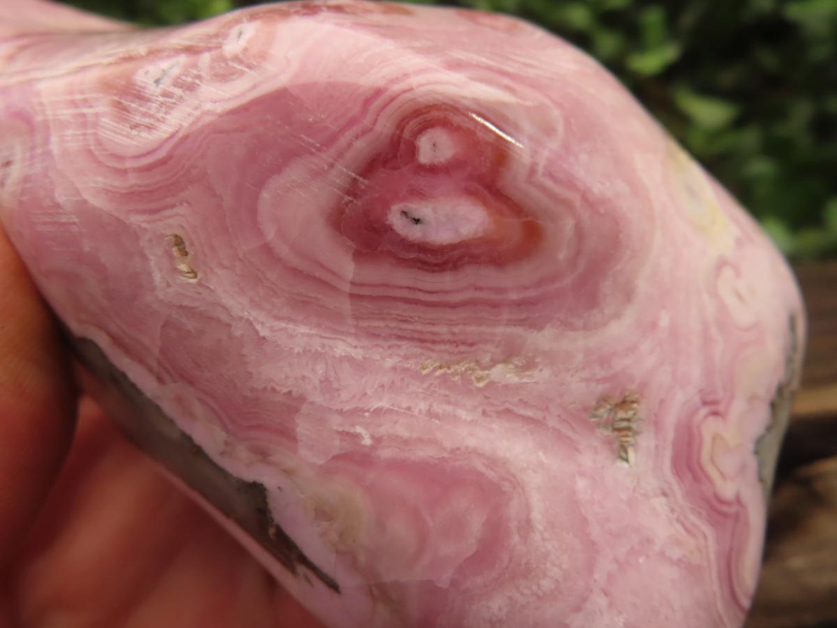 Polished Rare Pink Ring Patterned Cobaltion Aragonite on Dolomite x 1 From Kakanda, Congo