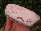 Polished Rare Pink Ring Patterned Cobaltion Aragonite on Dolomite x 1 From Kakanda, Congo