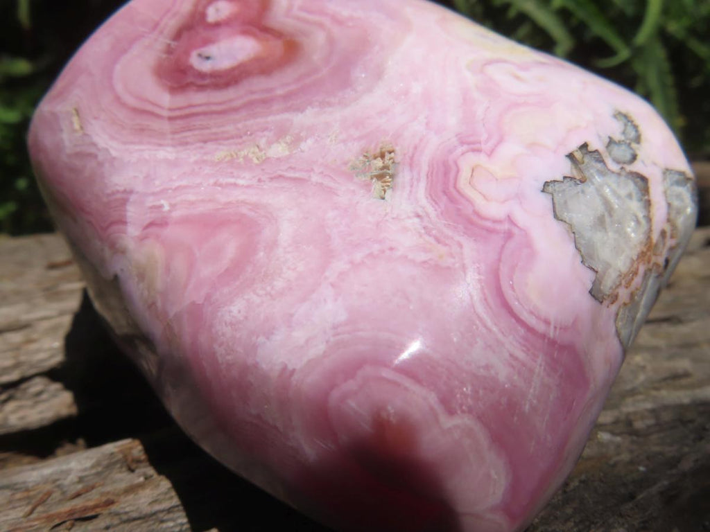 Polished Rare Pink Ring Patterned Cobaltion Aragonite on Dolomite x 1 From Kakanda, Congo
