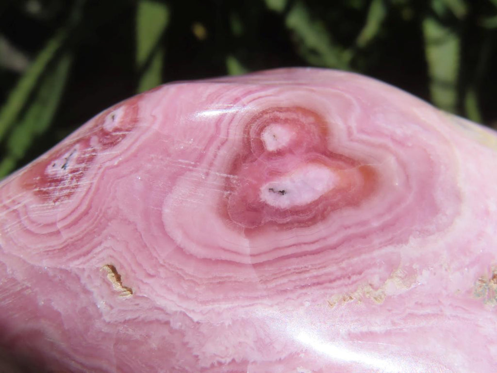 Polished Rare Pink Ring Patterned Cobaltion Aragonite on Dolomite x 1 From Kakanda, Congo