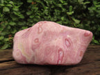 Polished Rare Pink Ring Patterned Cobaltion Aragonite on Dolomite x 1 From Kakanda, Congo