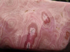 Polished Rare Pink Ring Patterned Cobaltion Aragonite on Dolomite x 1 From Kakanda, Congo