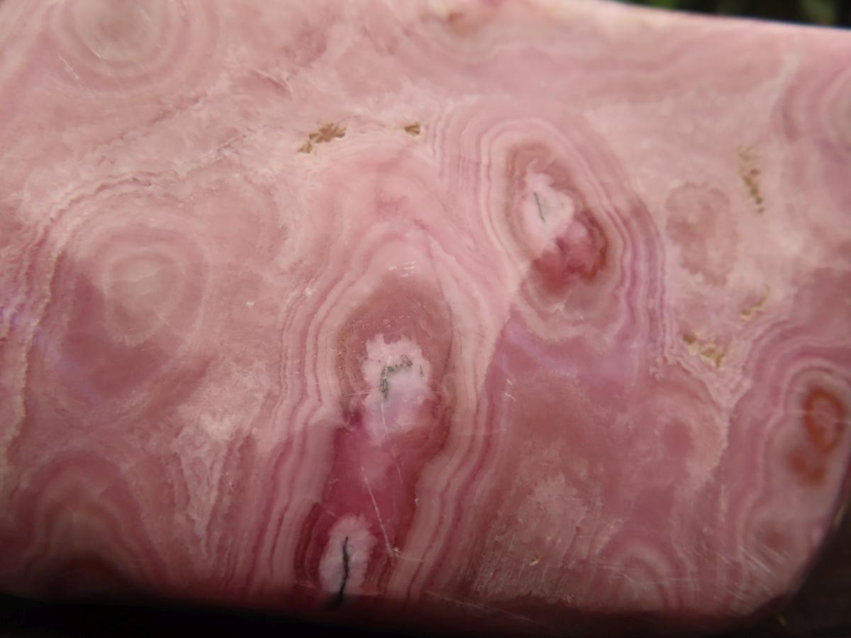 Polished Rare Pink Ring Patterned Cobaltion Aragonite on Dolomite x 1 From Kakanda, Congo