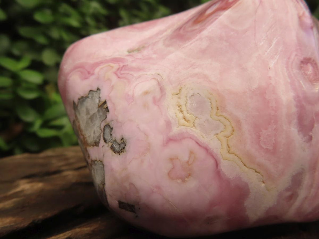 Polished Rare Pink Ring Patterned Cobaltion Aragonite on Dolomite x 1 From Kakanda, Congo