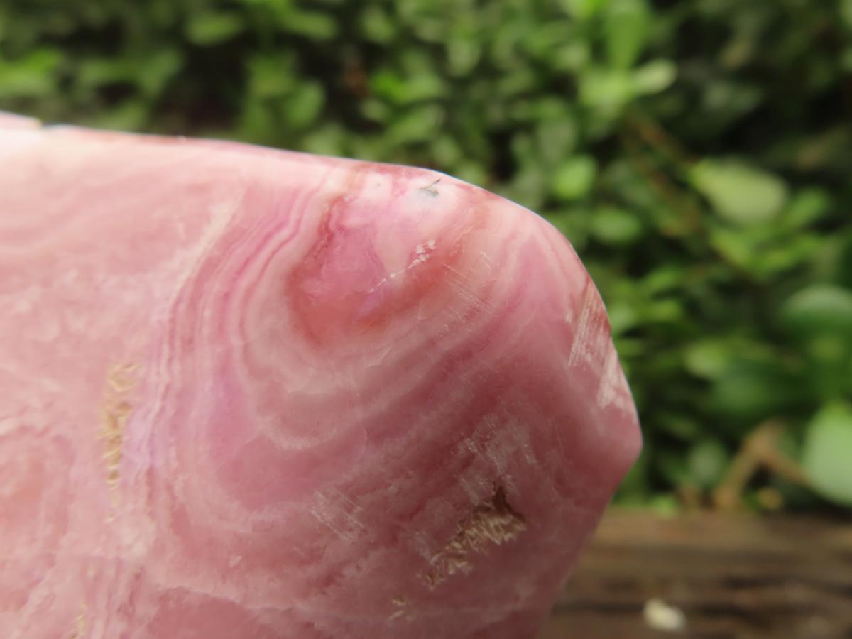 Polished Rare Pink Ring Patterned Cobaltion Aragonite on Dolomite x 1 From Kakanda, Congo