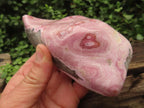 Polished Rare Pink Ring Patterned Cobaltion Aragonite on Dolomite x 1 From Kakanda, Congo