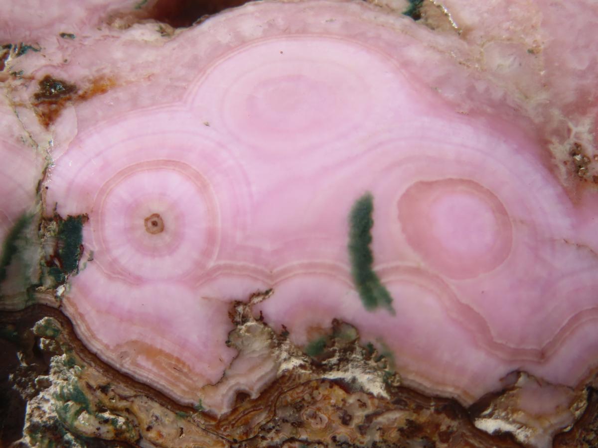 Polished Rare Fluorescent Large Cobaltion Dolomite and Aragonite on Dolomite x 1 From Congo