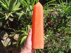 Polished XL Orange Twist Calcite Display Tower x 1 From Madagascar