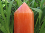 Polished XL Orange Twist Calcite Display Tower x 1 From Madagascar