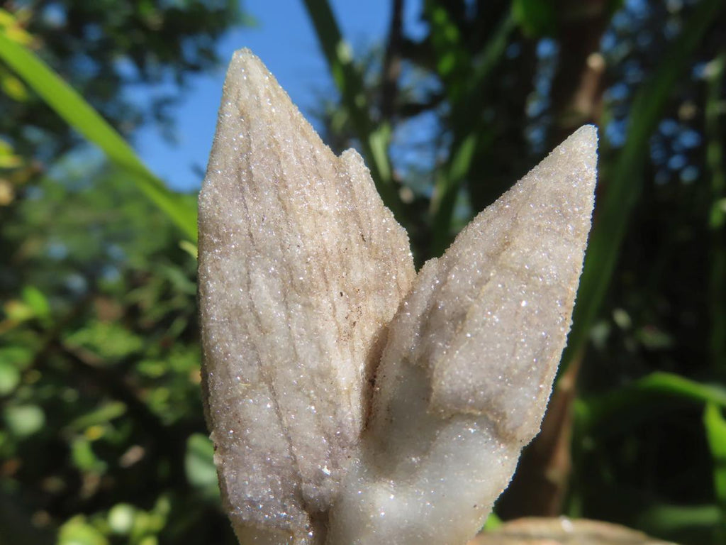 Natural Drusy Quartz Coated Hollow Pseudomorph Twin Specimen x 1 From Albert's Mountain, Lesotho