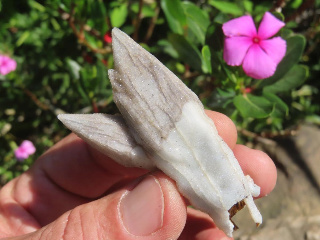 Natural Drusy Quartz Coated Hollow Pseudomorph Twin Specimen x 1 From Albert's Mountain, Lesotho