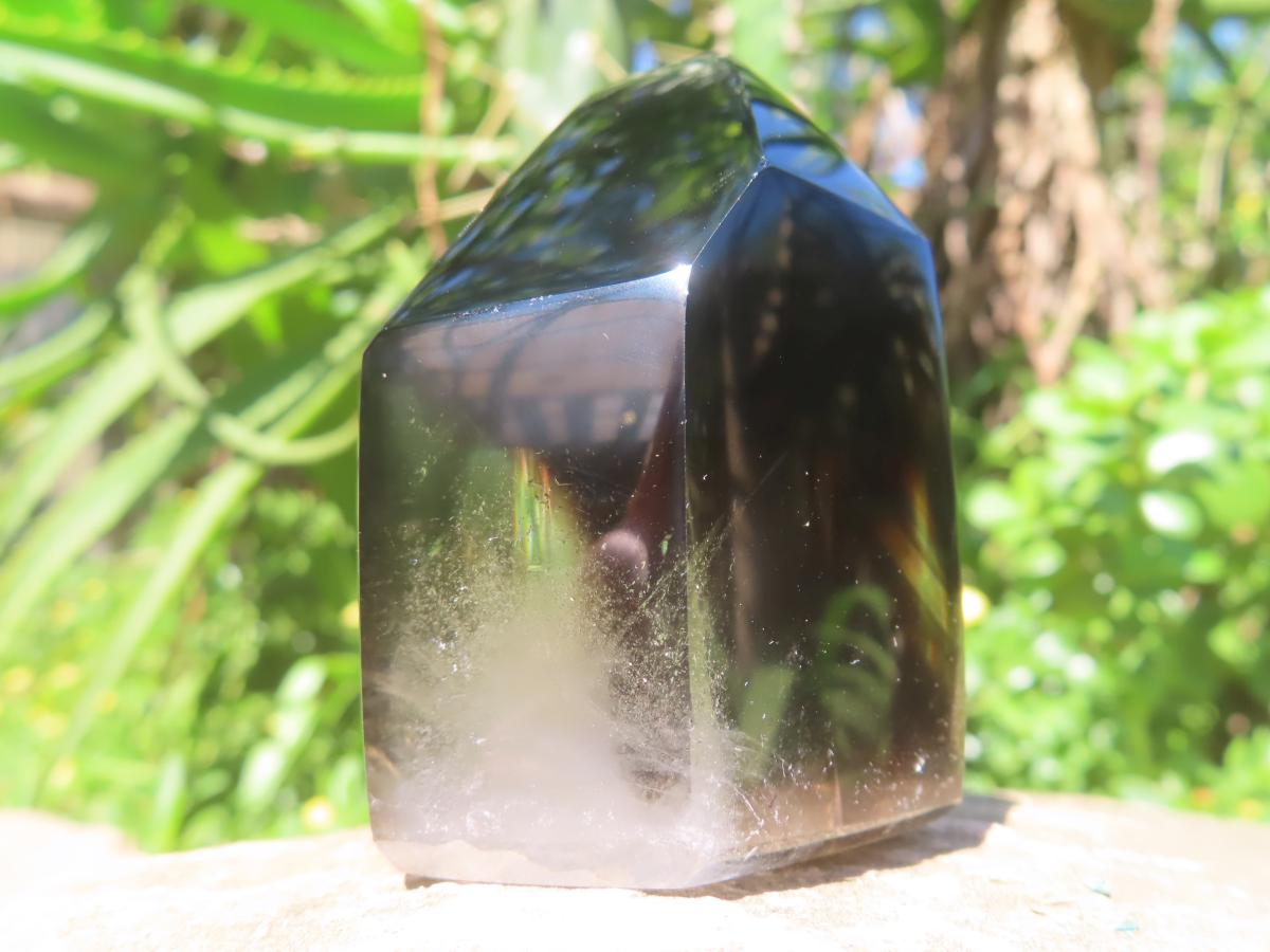 Polished Morion Black Smokey and Clear Sceptre Phantom Crystal x 1 From Madagascar