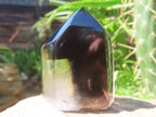 Polished Morion Black Smokey and Clear Sceptre Phantom Crystal x 1 From Madagascar