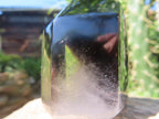 Polished Morion Black Smokey and Clear Sceptre Phantom Crystal x 1 From Madagascar
