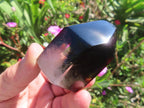 Polished Morion Black Smokey and Clear Sceptre Phantom Crystal x 1 From Madagascar
