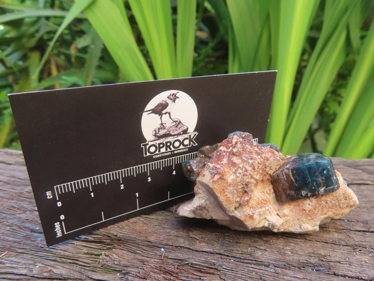 Natural Blue Apatite Crystals in Feldspar Cluster Specimen x 1 From Erongo, Namibia