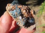 Natural Blue Apatite Crystals in Feldspar Cluster Specimen x 1 From Erongo, Namibia