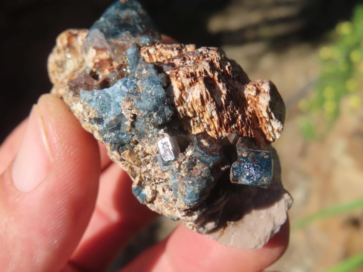Natural Blue Apatite Crystals in Feldspar Cluster Specimen x 1 From Erongo, Namibia