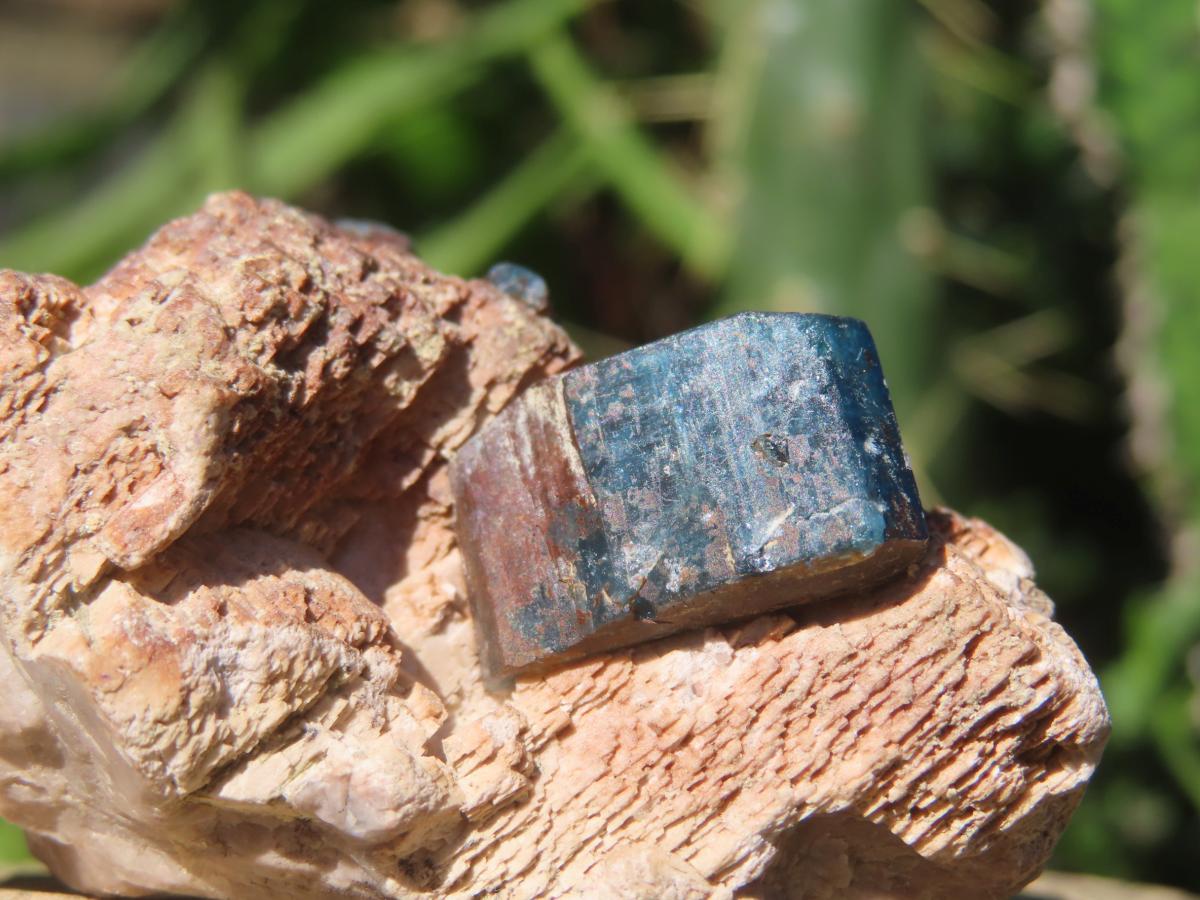 Natural Blue Apatite Crystals in Feldspar Cluster Specimen x 1 From Erongo, Namibia
