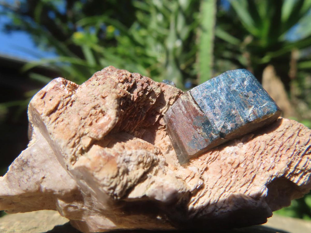 Natural Blue Apatite Crystals in Feldspar Cluster Specimen x 1 From Erongo, Namibia