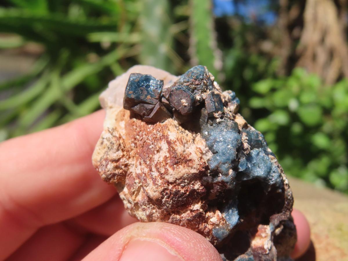 Natural Blue Apatite Crystals in Feldspar Cluster Specimen x 1 From Erongo, Namibia