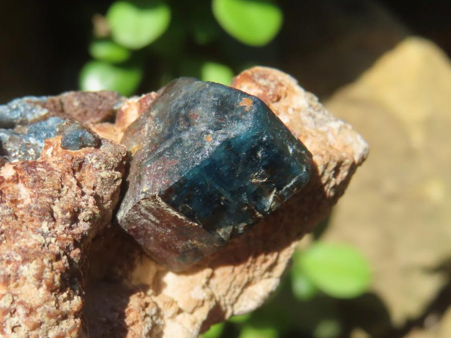 Natural Blue Apatite Crystals in Feldspar Cluster Specimen x 1 From Erongo, Namibia