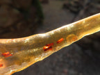 Natural Copal Amber Stalactite Formation with Insect Inclusions x 1 From Nosy Varika, Madagascar