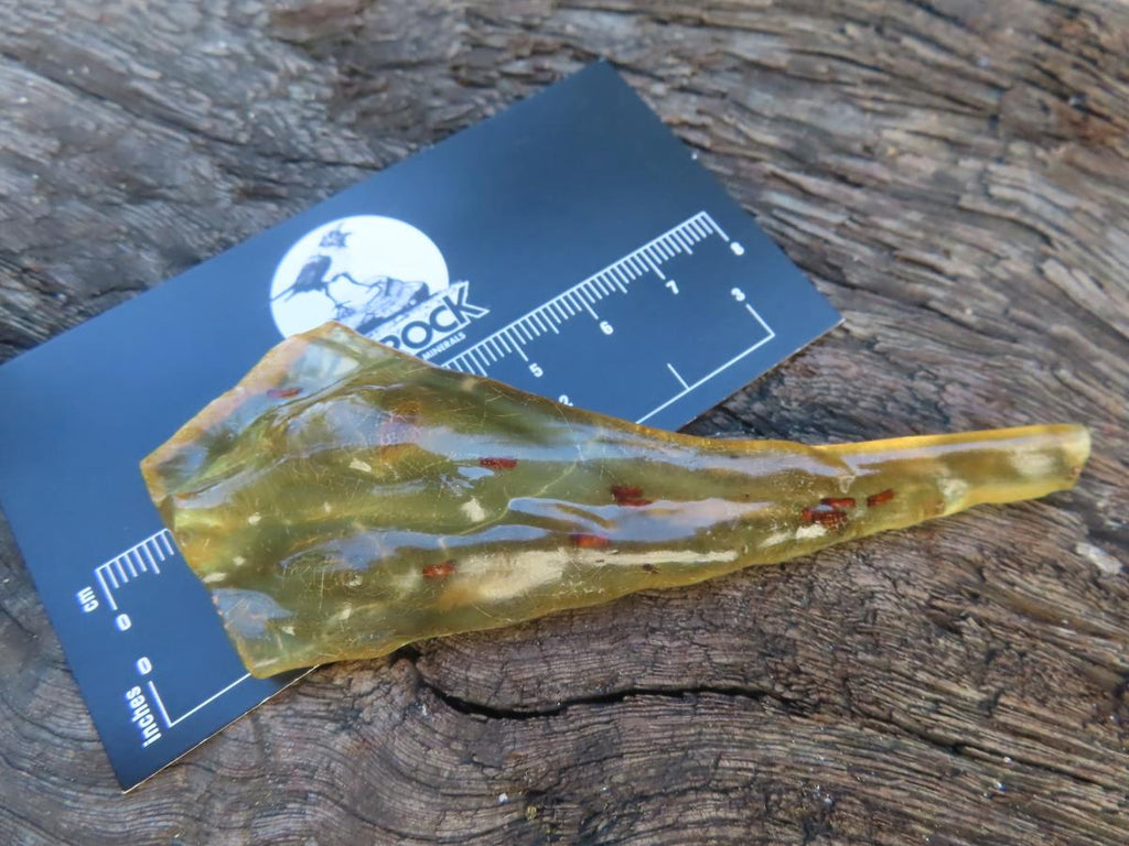 Natural Copal Amber Stalactite Formation with Insect Inclusions x 1 From Nosy Varika, Madagascar