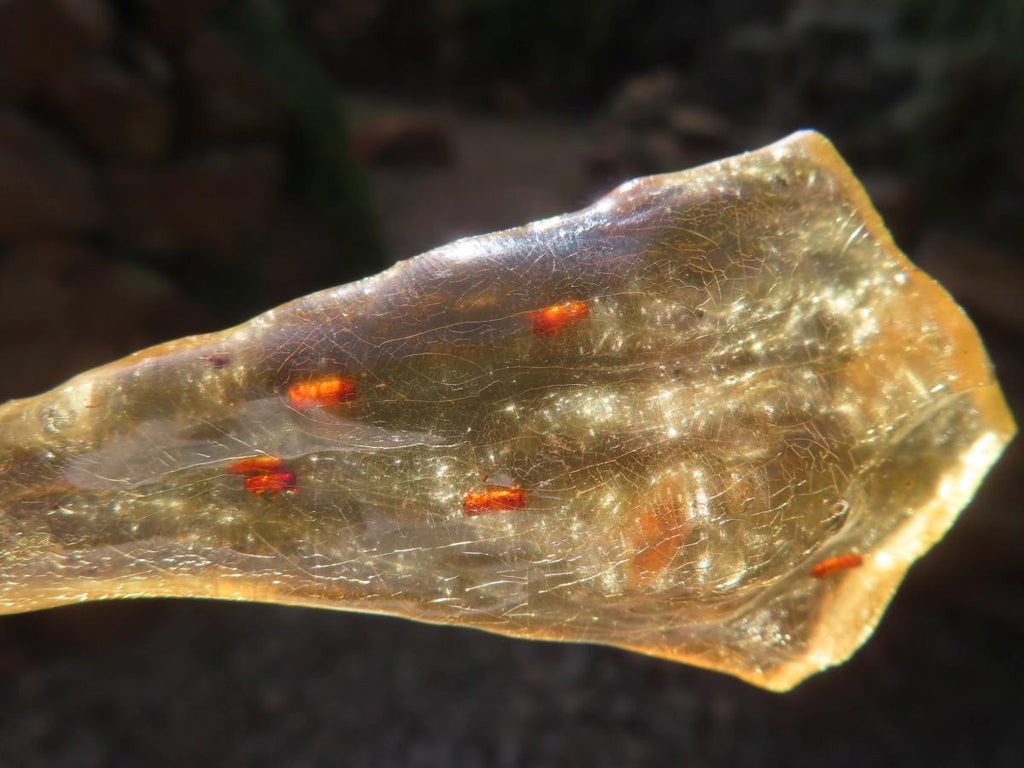 Natural Copal Amber Stalactite Formation with Insect Inclusions x 1 From Nosy Varika, Madagascar