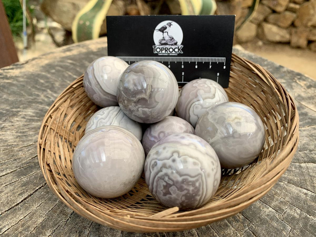 Polished Rare Orbicular Ocean Jasper Spheres - Sold Per Piece - From Madagascar