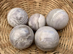 Polished Rare Orbicular Ocean Jasper Spheres - Sold Per Piece - From Madagascar