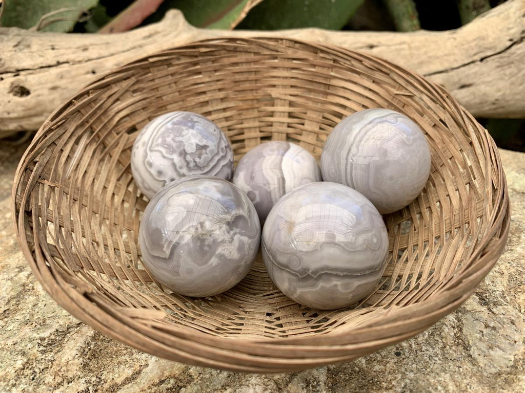 Polished Rare Orbicular Ocean Jasper Spheres - Sold Per Piece - From Madagascar