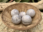 Polished Rare Orbicular Ocean Jasper Spheres - Sold Per Piece - From Madagascar