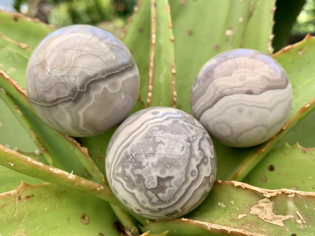 Polished Rare Orbicular Ocean Jasper Spheres - Sold Per Piece - From Madagascar