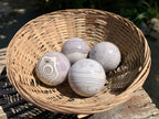 Polished Rare Orbicular Ocean Jasper Spheres - Sold Per Piece - From Madagascar